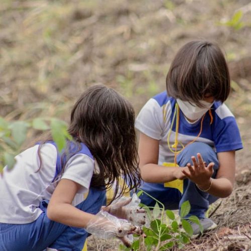 Fundaeco, organización dedicada a la conservación de la naturaleza en Guatemala 