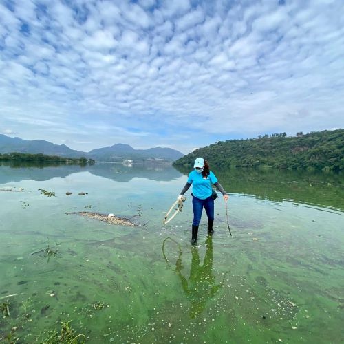 Fundaeco, organización dedicada a la conservación de la naturaleza en Guatemala 