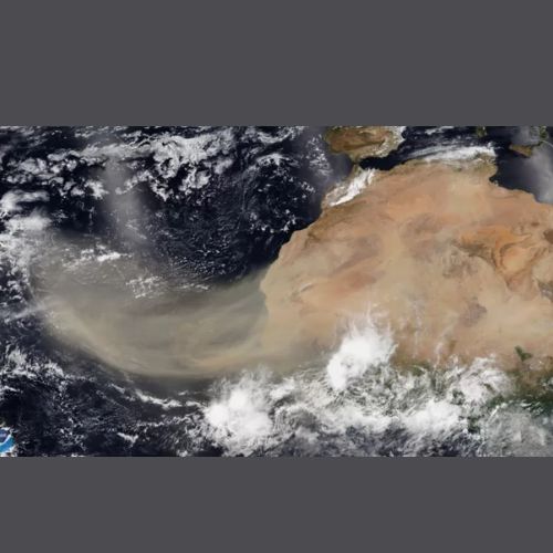 Polvo del Sahara, fenómeno natural que afecta a Guatemala 