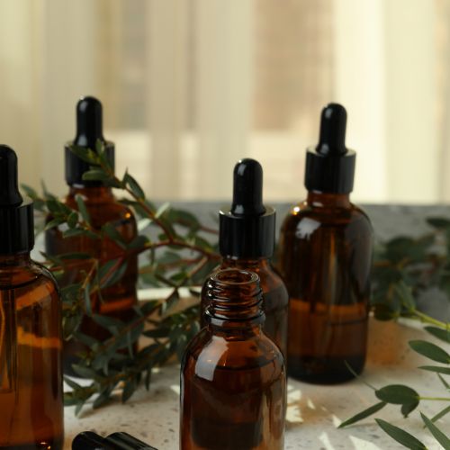 Qué es el eucalipto, sus usos y beneficios y propiedades