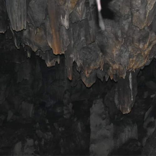 Datos importantes sobre el Parque Nacional Cueva del Silvino en Morales, Izabal, Guatemala 