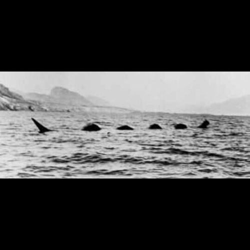La leyenda de la Gran Serpiente Marina en el Lago de Atitlán, Guatemala 