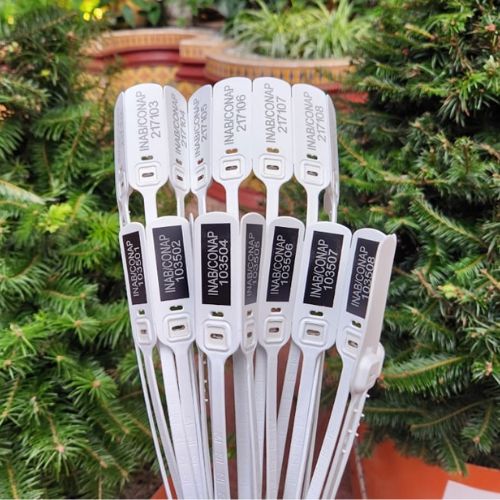 Marchamo blanco ¿Por qué comprar un pinabete de marchamo blanco para Navidad