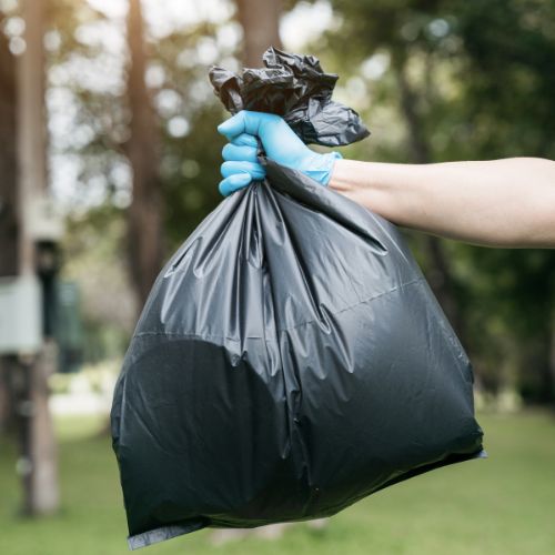 Desechos orgánicos e inorgánicos y cómo clasificarlos