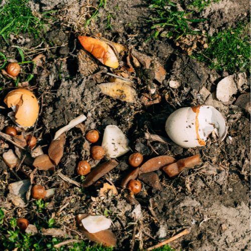 Cómo hacer compost casero en Guatemala
