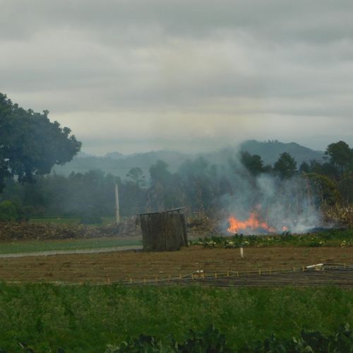 Qué dice la Ley Forestal sobre las quemas o rozas agrícolas