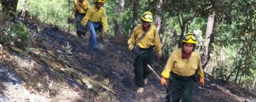 guatemala bombero forestal