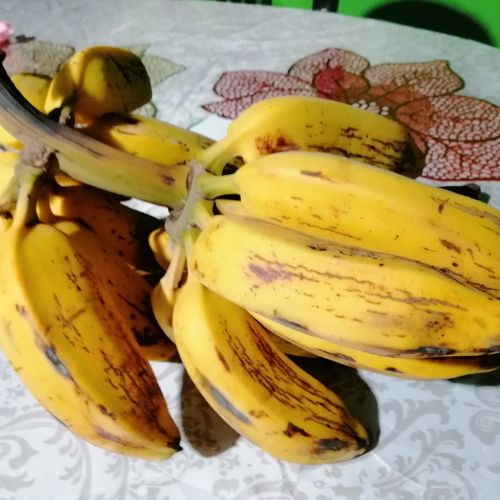 Qué es el banano majunche en Guatemala