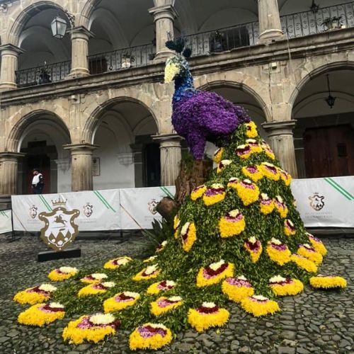 Antigua Guatemala Ciudad de las Perpetuas Rosas