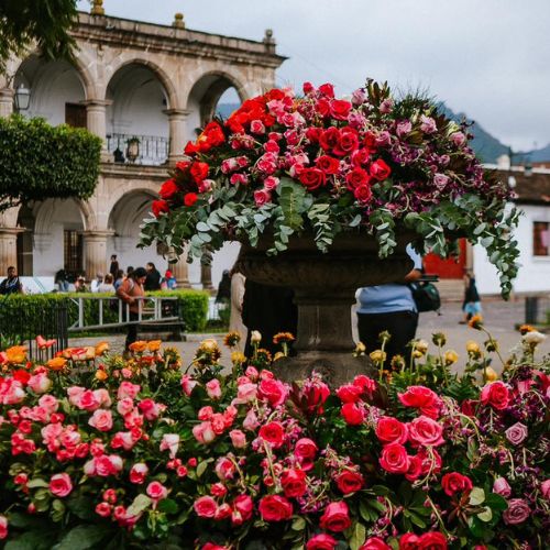 Ciudad de las Perpetuas Rosas en Antigua Guatemala