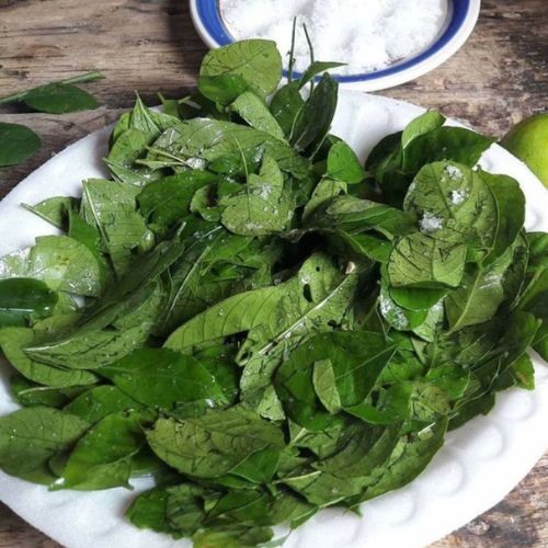 Hojas de jocote con limón en Guatemala