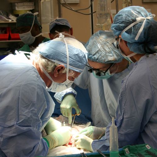 Ley para la Disposición y Trasplante de Órganos, Tejidos y Células Humanas para guatemaltecos