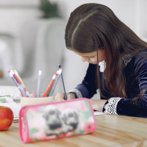 Requisitos en Guatemala para visa alemana de intercambio escolar