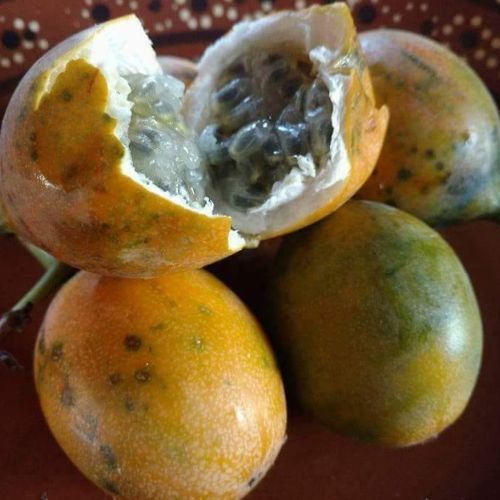 granadilla guatemalteca