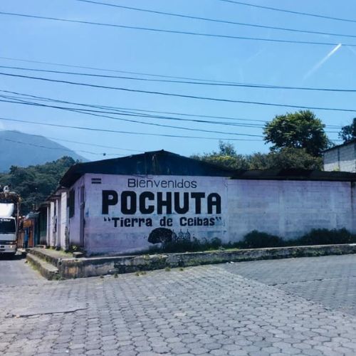 Por qué San Miguel Pochuta es conocido como «tierra de ceibas»