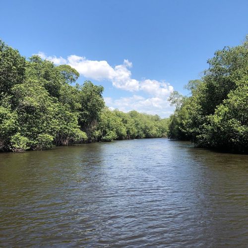 Biotopo Monterrico Hawaii en Guatemala