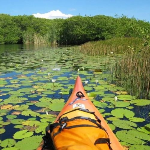 Biotopo Monterrico Hawaii en Guatemala