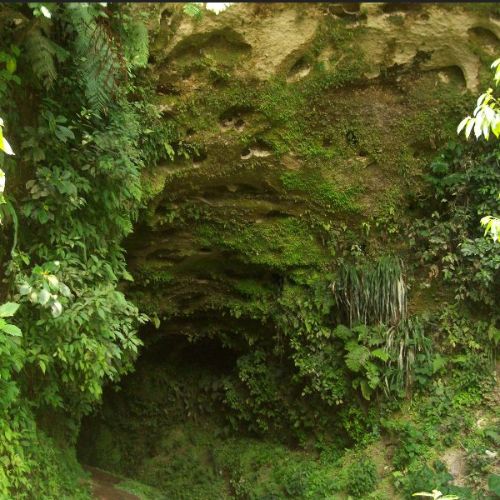 Cuevas de Venecia en San Miguel Pochuta