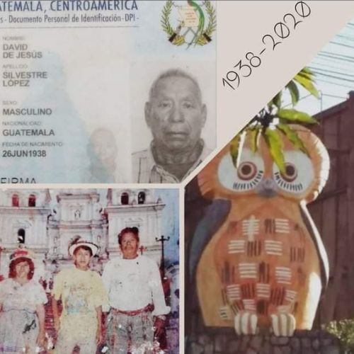 Tecolote en la Calzada San Juan Historia y datos curiosos