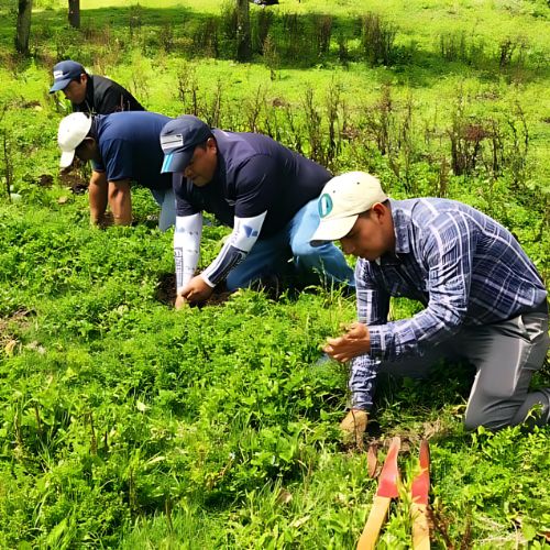 Día del Medio Ambiente en Guatemala