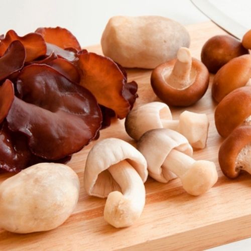 Cómo identificar un hongo comestible