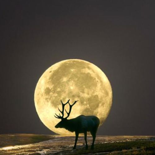 Nombre y significado de las lunas llenas que se observan en Guatemala