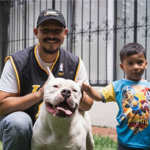 Día del Perro