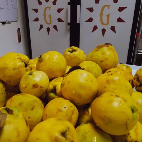 El membrillo, fruta guatemalteca