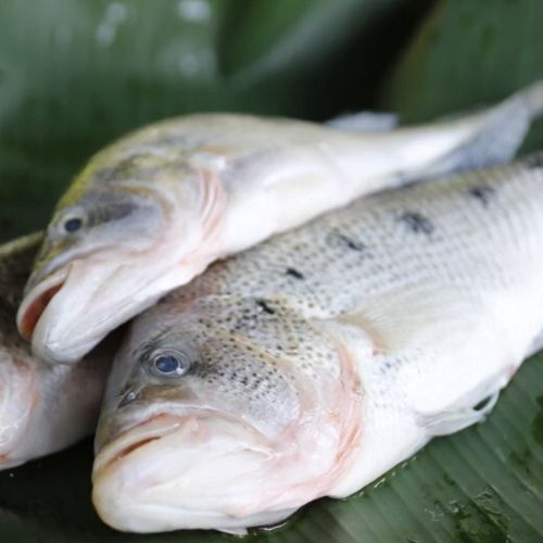 Receta para preparar Pak'to', platillo tradicional de Petén
