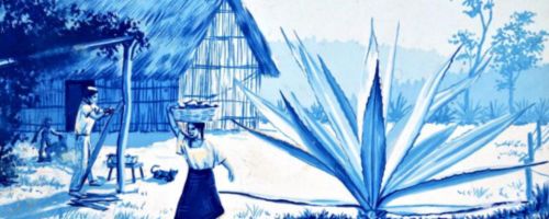 Biografía de Ernesto Boesche Rizo