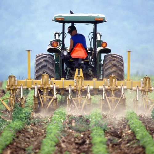 Día del Agricultor en Guatemala