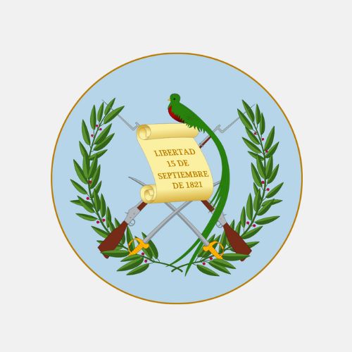Escudo de armas actual su historia y evolución