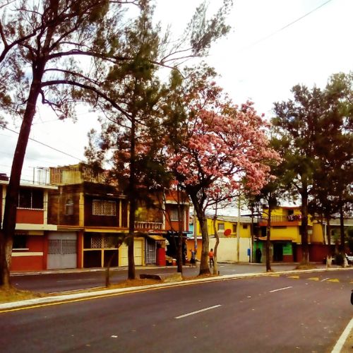 Historia de la colonia Justo Rufino Barrios en Guatemala