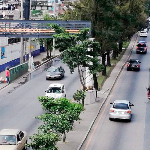 Historia de la Calzada José Milla y Vidaurre en Ciudad de Guatemala 