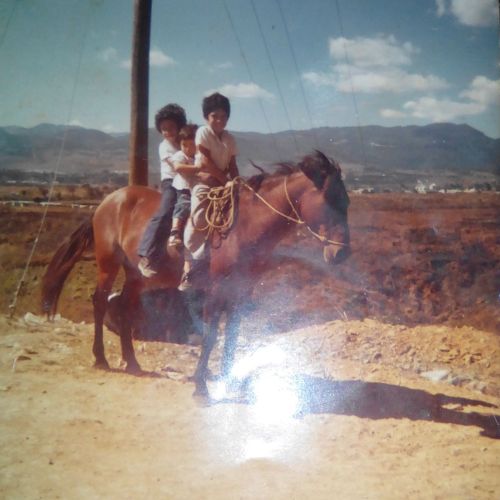 Historia de la colonia El Mezquital en Guatemala