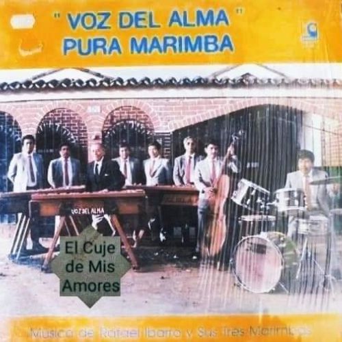 Biografía de Rafael Ibarra Ávila, compositor guatemalteco