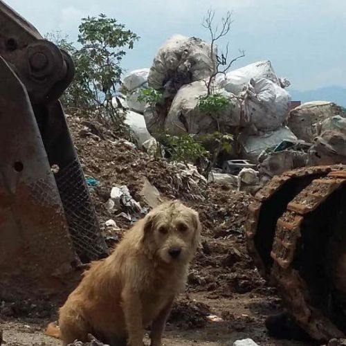 Historia del basurero de la Zona 3 capitalina