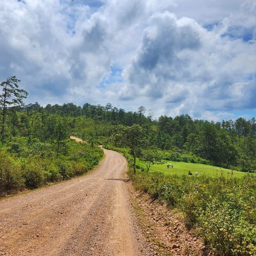 Municipio de Camotán en Chiquimula