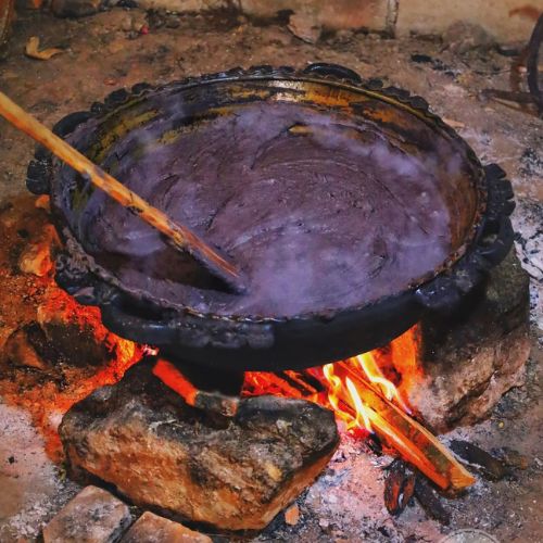 Platillos de la gastronomía Maya