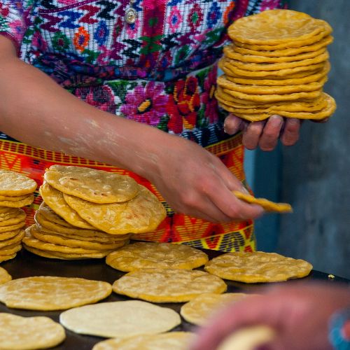 la gastronomía Maya
