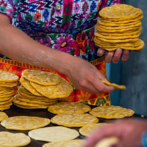 tortillas hechas de maíz guatemala