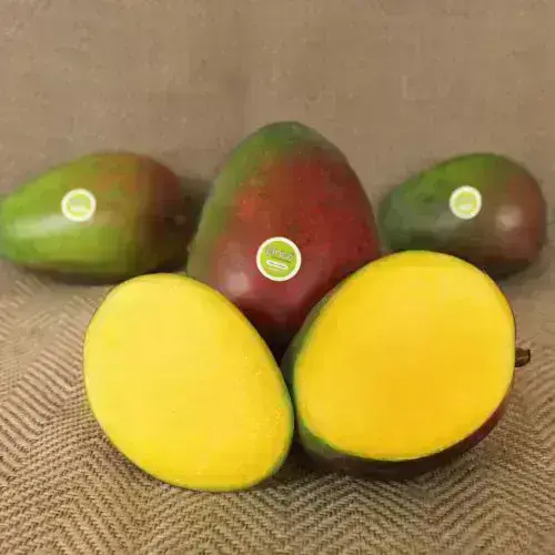 Características del Mango Tommy