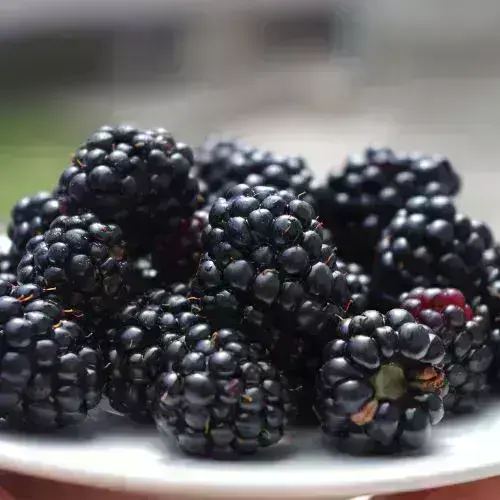 Receta para hacer fresco de mora en Guatemala