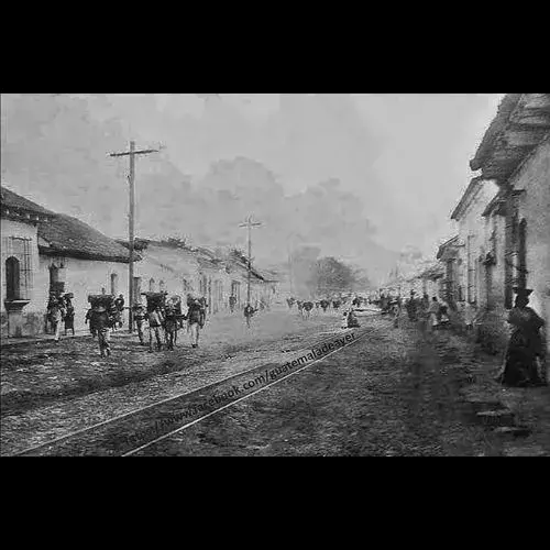 Historia Avenida de los Árboles