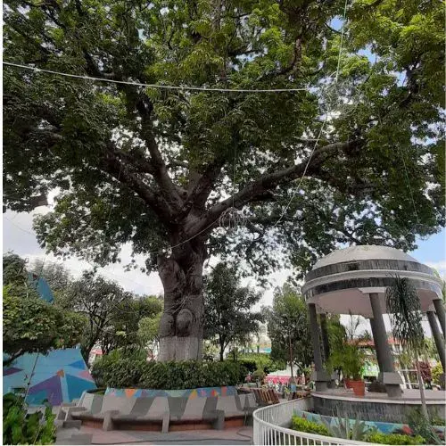 Los códigos postales del departamento de El Progreso