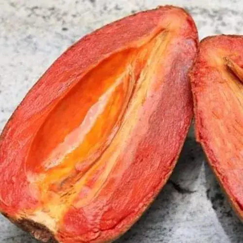 beneficios del zapote mamey
