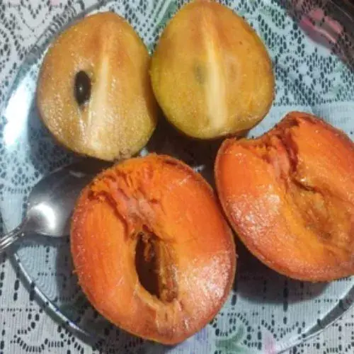 zapote mamey y chicozapote