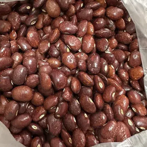 cómo es el frijol piloy en guatemala