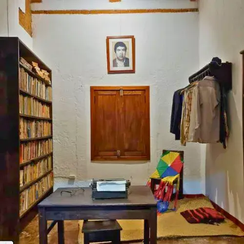 Dónde está el museo luis de lion