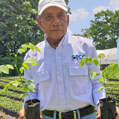 El Instituto del Cambio Climático en Guatemala